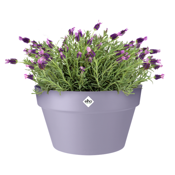 loft urban schale 35cm lavendel lila